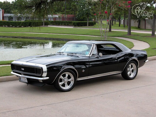 camaro