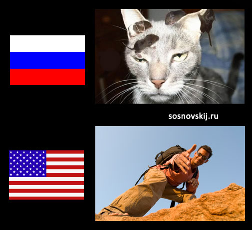 отзывчивость в США и России