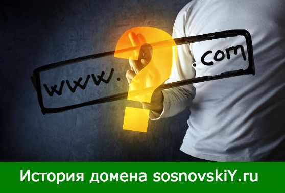 история домена sosnovskiY